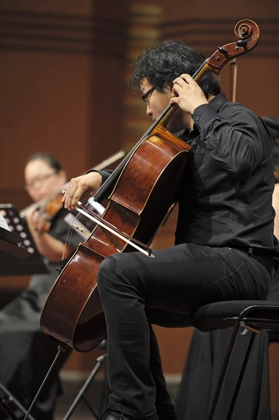 Violoncellist on chamber music concert — Stock Photo, Image