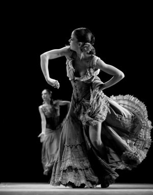 The Flamenco Dancer clipart
