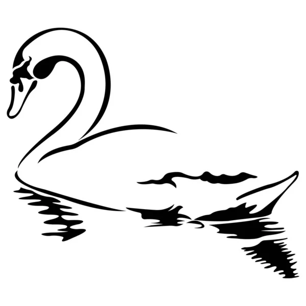 天鹅在水面上呈扁平的黑色 设计适用于纺织品 动物标志 印花T恤衫或服装 分离的病媒 — 图库矢量图片