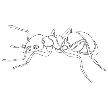 Karınca böcek silueti hatları. Doğrusal dövme stili. Böcek sever logosu, parazit ikonu, dövme, stres önleyici renk, dekor, kulüp, kamp, böcek kontrol şirketi için uygun tasarım. İzole vektör 