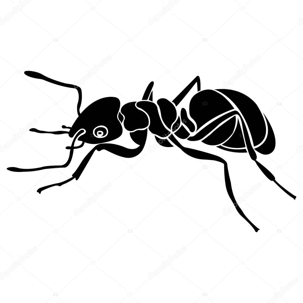 Silhouette of a black ant insect. Linear tattoo style. Design suitable for insect lover logo, parasite icon, tattoo, decor, club, camp, insect control company. Isolated vector illustration