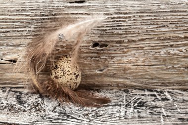 Ahşap arka planda bıldırcın yumurtaları