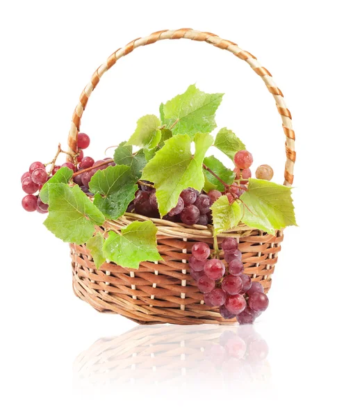 Vörös szőlő fonott kosár — Stock Fotó
