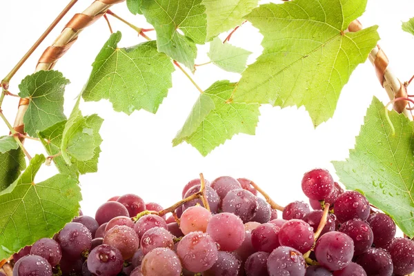 Uvas rojas en canasta de mimbre — Foto de Stock