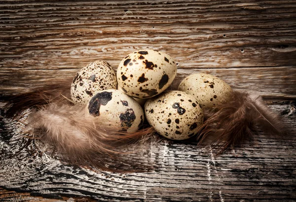 Ovos de codorna em fundo de madeira — Fotografia de Stock