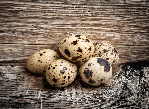 Kwarteleitjes op houten ondergrond — Stockfoto