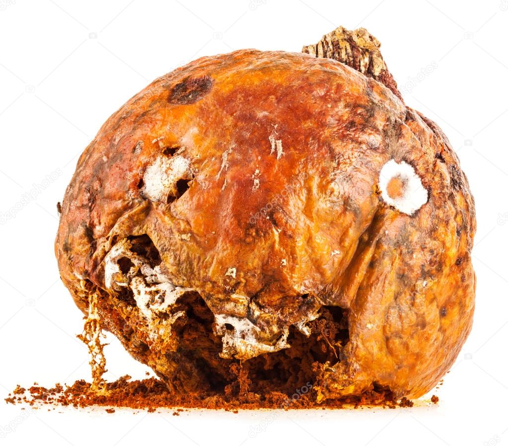 Rotten Pumpkin