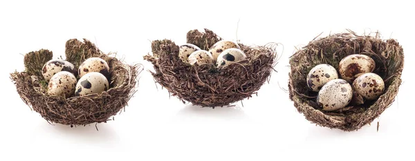 Vogelnest Met Eieren Geïsoleerd Witte Achtergrond — Stockfoto