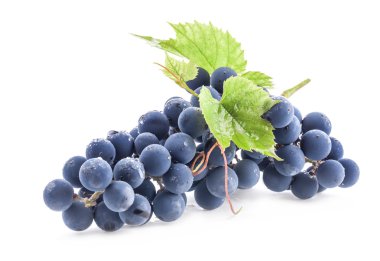 Ripe grapes with leaves clipart
