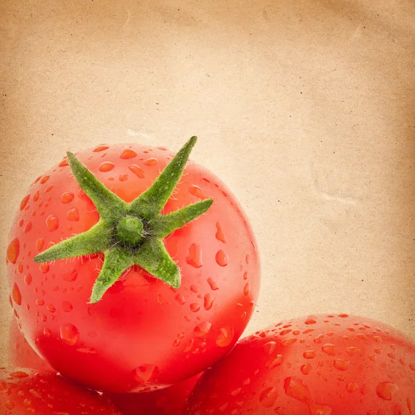Kağıt üzerinde domates — Stok fotoğraf