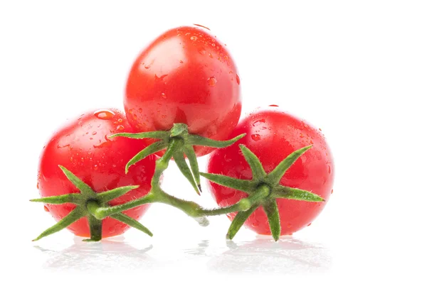 Pomodori sulla vite — Foto Stock