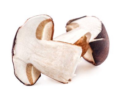 İki dilimlenmiş orman mantar (Boletus badius)