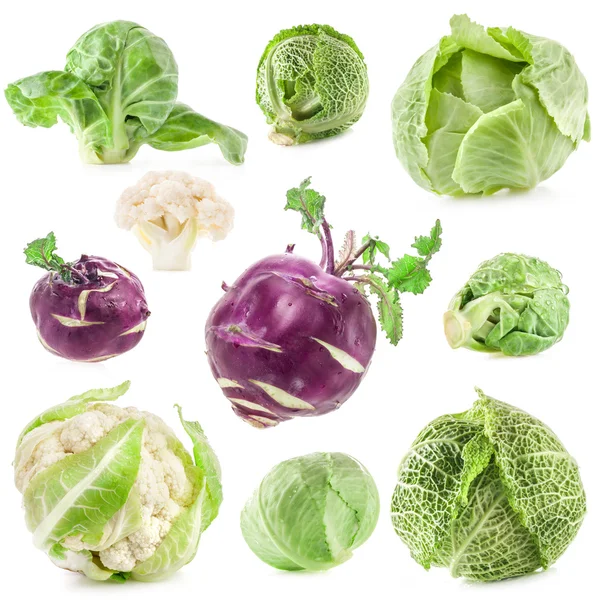 Collection of fresh cabbage — Stock Photo, Image
