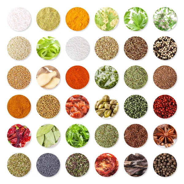 Collectie van kruiden en specerijen (uitknippad) — Stockfoto