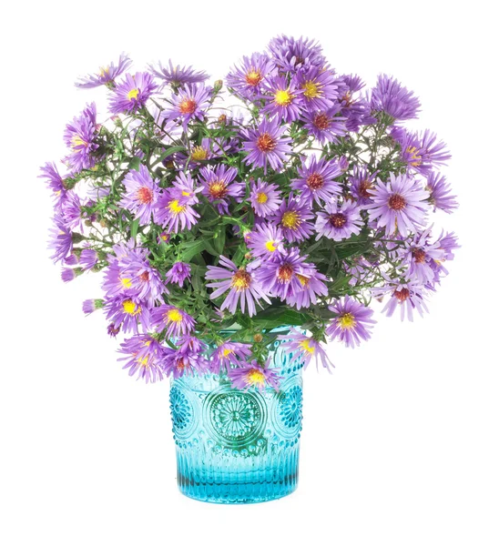 Bukett lila höst blommor — Stockfoto
