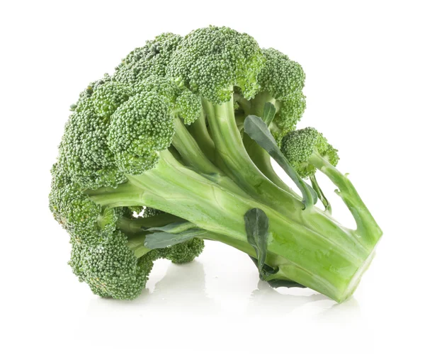 Broccoli isolati su fondo bianco — Foto Stock