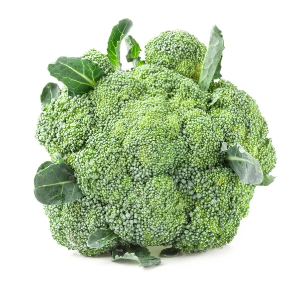 Broccoli isolerad på vit bakgrund — Stockfoto