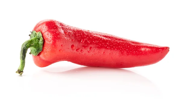 One red Cuban (cubanelle) pepper — Stock Photo, Image