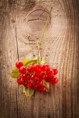 Red viburnum berries on wooden table clipart