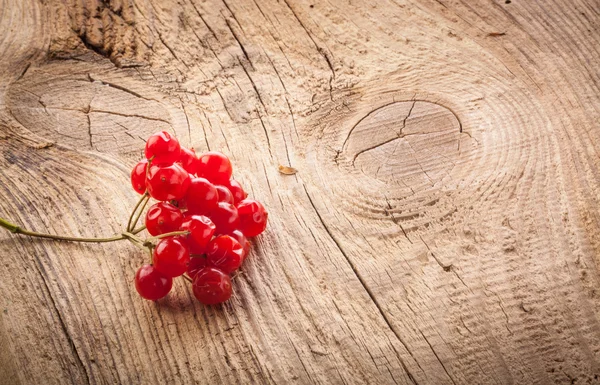 Bagas de viburnum vermelhas na mesa de madeira — Fotografia de Stock