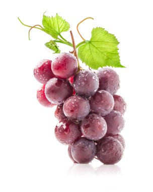 Red grapes clipart