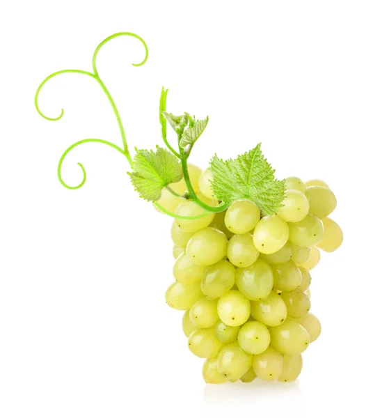 Ripe sultana grapes — Stock Photo, Image