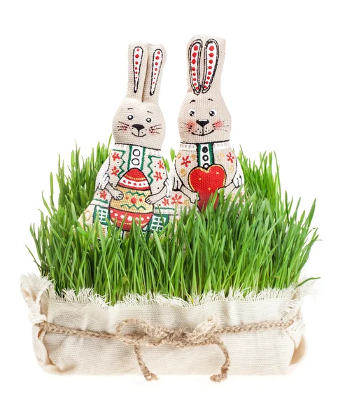 Lapins de Pâques sur herbe verte . — Photo