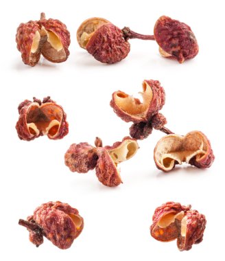 sichuan biberi