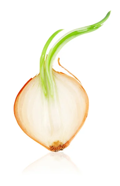Half of onion — Stock Photo, Image