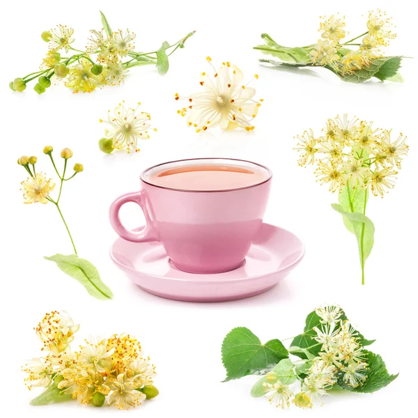 Taza rosa de té y flores de tilo aisladas sobre fondo blanco — Foto de Stock