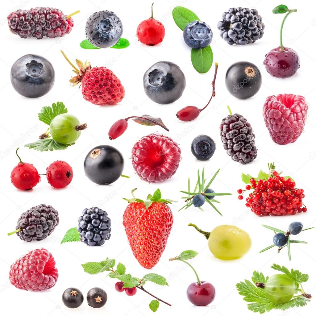 Collection of berry