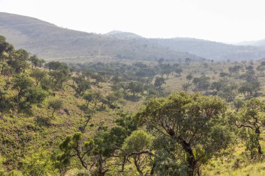 Güney Afrika 'daki yüksek vadilerin manzarası