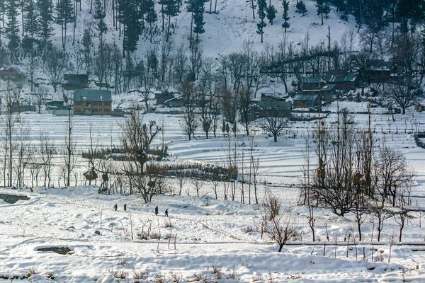 Snöfyllda Bondbyar Och Floder Väg Från Srinagar Till Sonmarg Och — Stockfoto