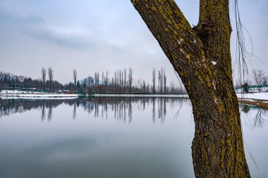 Kış mevsiminde gölü olan botanik bahçesi manzarası ve Hindistan 'ın Srinagar, Kashmir kentindeki güzel sıradağlar.