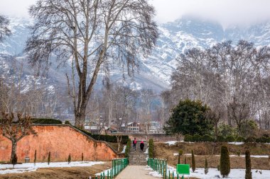 Nishat Bagh Babür Bahçe manzarası kış mevsimi, Srinagar, Kaşmir, Hindistan