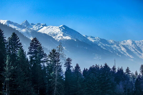 Hermosa Vista Sonmarg Invierno Nevadas Montañas Del Himalaya Con Pinos — Foto de Stock