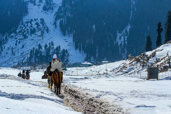 Turister Njuter Ridning Aru Valley Vintern Scenen Nära Pahalgam Kashmir — Stockfoto