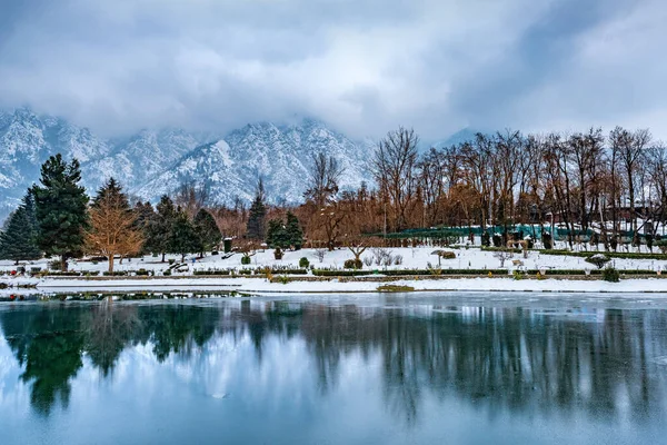 Uma Vista Jardim Botânico Com Lago Temporada Inverno Bela Gama — Fotografia de Stock