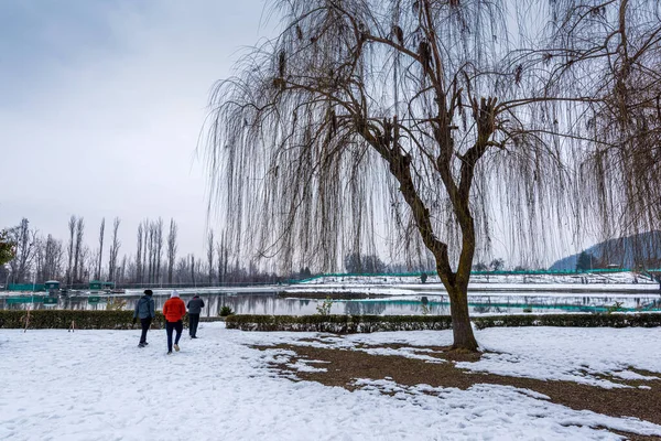 Een Uitzicht Botanische Tuin Met Meer Winter Seizoen Prachtige Bergketen Stockfoto