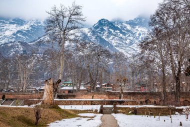 Nishat Bagh Babür Bahçe manzarası kış mevsimi, Srinagar, Kaşmir, Hindistan