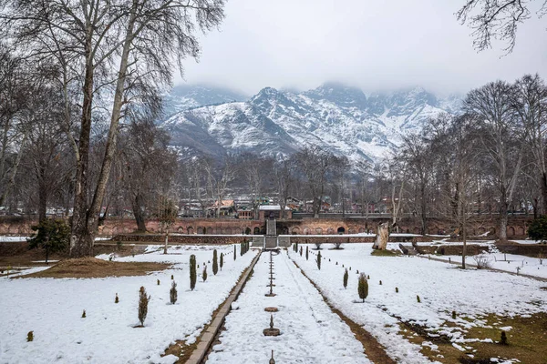 Landskapet Nishat Bagh Mughal Garden Vintersäsongen Srinagar Kashmir Indien — Stockfoto