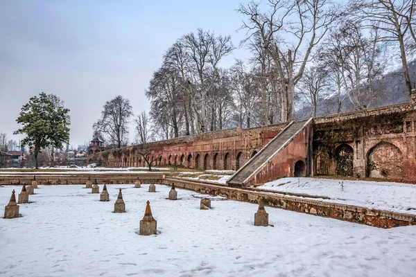Het Landschap Van Nishat Bagh Mughal Garden Tijdens Het Winterseizoen Stockfoto