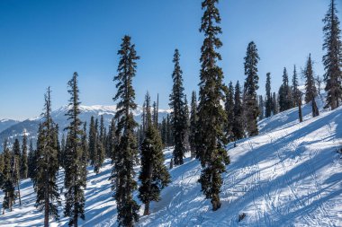 Gulmarg, Hindistan 'da yer alan bir şehirdir, bir tepe istasyonu, popüler bir turist ve kayak merkezidir.