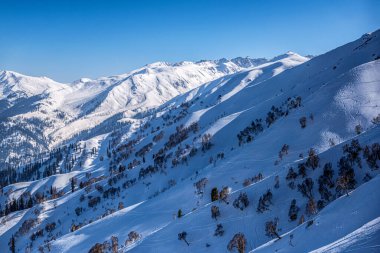 Gulmarg, Hindistan 'da yer alan bir şehirdir, bir tepe istasyonu, popüler bir turist ve kayak merkezidir.