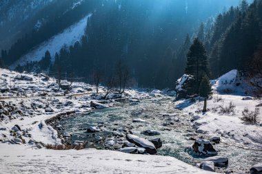 Kışın sonmarg 'ın güzel manzarası Himalaya Dağları' nı çam ağaçları ve nehirle kapladı.