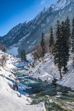 Kışın sonmarg 'ın güzel manzarası Himalaya Dağları' nı çam ağaçları ve nehirle kapladı.
