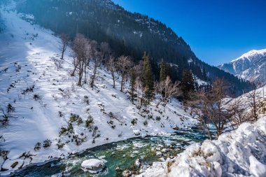 Kışın sonmarg 'ın güzel manzarası Himalaya Dağları' nı çam ağaçları ve nehirle kapladı.
