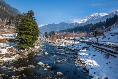 Kış mevsiminde Pahalgam 'ın güzel manzarası. Etrafı donmuş Himalayalar, buzullar, yeşil köknar ve çam ağaçları ve orman manzaralarıyla çevrili.