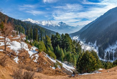 Pahalgam, Kashmir, Hindistan yakınlarındaki Aru Vadisi 'ndeki kış sahnesi..