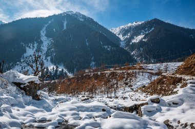Pahalgam, Kashmir, Hindistan yakınlarındaki Aru Vadisi 'ndeki kış sahnesi..